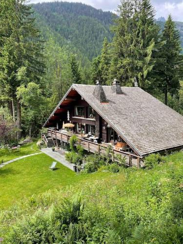Large peaceful chalet for mountain adventures! Perfect for Flégère and Grand Montet skiing