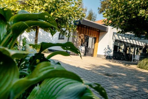 a plant in front of a building at Villa 't Boshuys - a private and green location for families or friends up to 16 guests in Den Ham