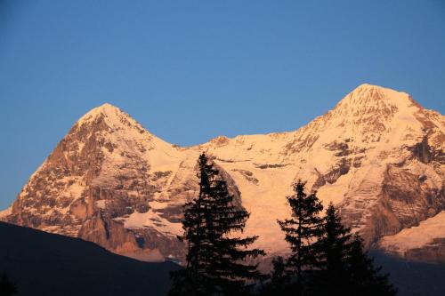 a snow covered mountain with trees in front of it at Your home in Mürren near the ski slopes and hiking trails in Mürren