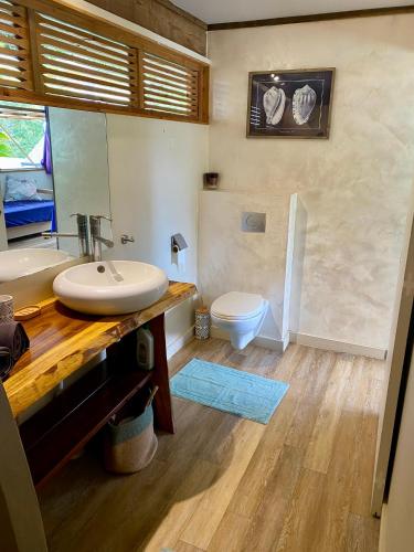 een badkamer met een wastafel en een toilet bij Fare Matatia in Punaauia