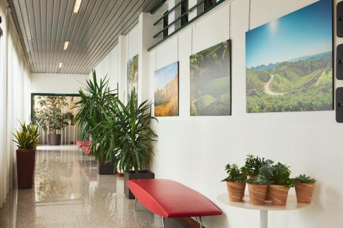 Fotografie z fotogalerie ubytování Hotel Eurorest v destinaci Conegliano