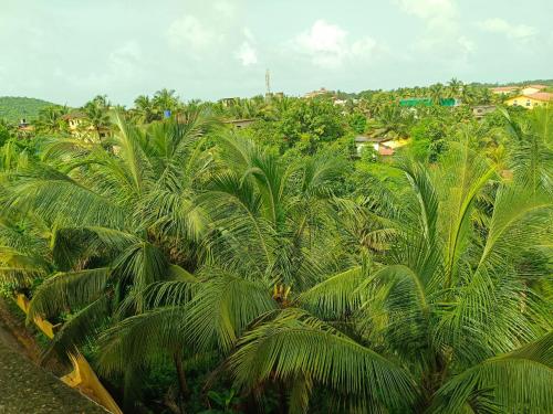 Gallery image of Arambol Paradise by PSS Properties in Arambol
