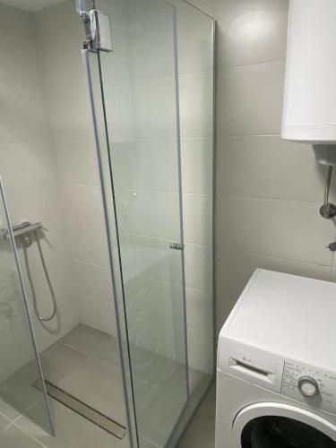 a glass shower in a laundry room with a washing machine at Central City Stay - Apartment Alex in Šabac