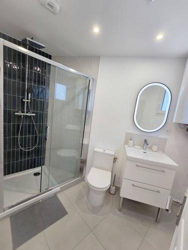 une salle de bain avec une douche, des toilettes et un lavabo dans l'établissement Studio cosy au coeur de Cambrai, à Cambrai