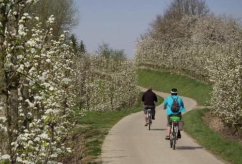 two people riding bikes down a dirt road with trees at Vakantiewoning de Toren in Kortessem