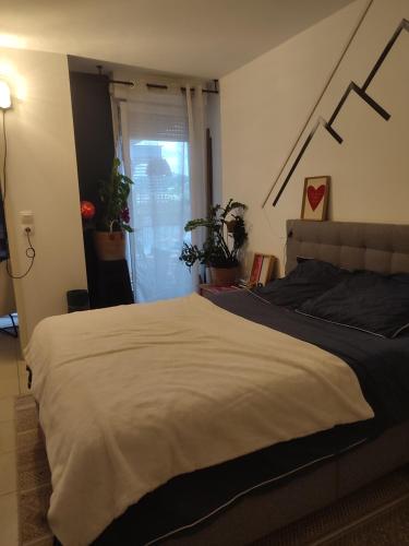 une chambre avec un grand lit dans une pièce dans l'établissement T2 toulouse, à Montrabé