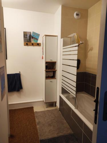 La petite salle de bains est pourvue d'une douche et d'un réfrigérateur. dans l'établissement T2 toulouse, à Montrabé