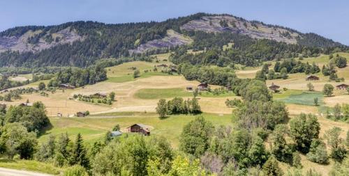 Chalets des Evettes- appartement vue montagne