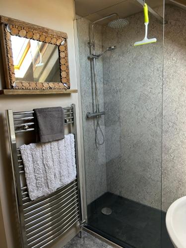 a bathroom with a shower with a sink and a mirror at The Pebbles in Whitby