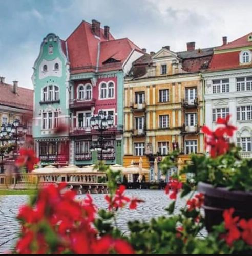a group of buildings next to a river with red flowers at Central Terrace Escape with Jacuzzi in Timişoara