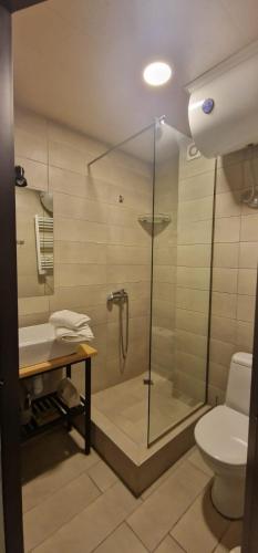 a bathroom with a shower with a toilet and a sink at Ski in Ski out Tiamo Apartment 302-303 at Gudauri loft hotel in Gudauri