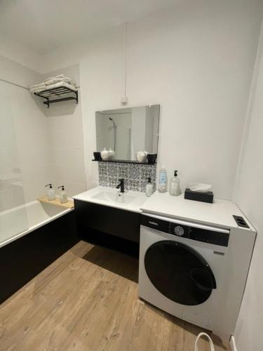 une salle de bain avec un lavabo et une machine à laver dans l'établissement Appartement champenois centre-ville, à Reims