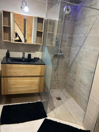 une salle de bain avec douche et lavabo dans l'établissement Au moulin de Saint Paul, à Saint-Paul-lès-Romans