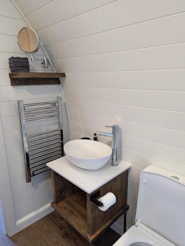 a bathroom with a sink and a toilet at BluePigeons Pods Roag Dunvegan in Lonmore
