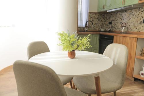 a white table and chairs with a plant on it at Nidum Harmony in Tirana
