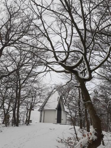 a small white chapel in the snow with trees at Ferienwohnungen Sternenhimmel WHG 1 in Medebach