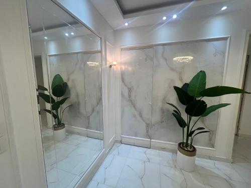 MadinatyProperty Sisters, Elite new home, Madinaty B11的室内的盆栽淋浴