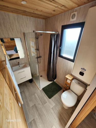 une petite salle de bain avec douche et toilettes dans l'établissement Le Cozy Cottage - Chalet avec parking, à Châtillon-sur-Cher