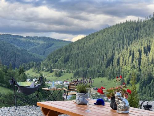 a picnic table with a view of a mountain at Cucu Zen Cazare Cabane Pensiuni Bucovina in Iacobeni