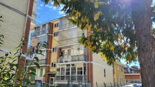 an apartment building with a tree in front of it at La casa dei libri in Caselle Torinese