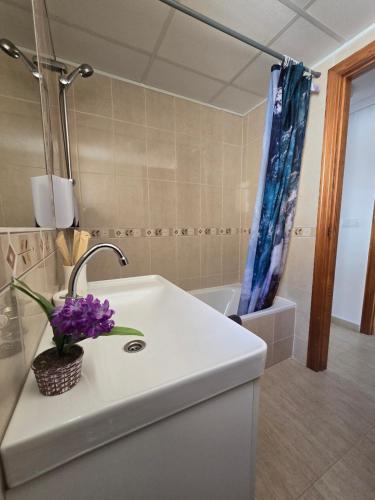 a bathroom with a sink and a shower at Apartament Carina in Mar de Cristal