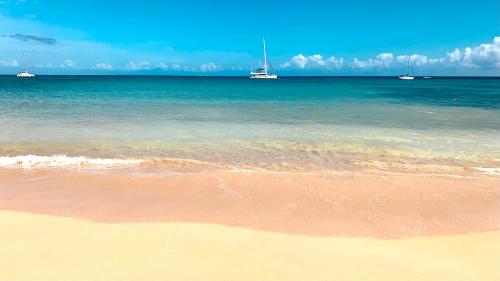 Modern Zen Villa Next to Playa Popy