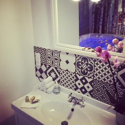 une salle de bain avec un lavabo et un miroir dans l'établissement Domaine entier au havre de paix 4 chambres, à Vauvenargues