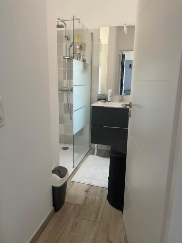une salle de bain avec douche et lavabo dans l'établissement T3 cosy tout confort, à Collioure
