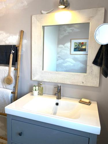 a bathroom with a sink and a mirror at HAPPY house in Saint-Pierre