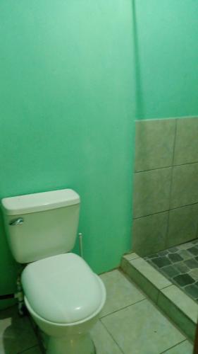 ein Badezimmer mit einer weißen Toilette und einer grünen Wand in der Unterkunft Cabinas mandarina in Cocles