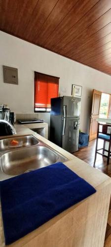 a kitchen with a stainless steel sink and a stove at Villa Marina, Nosara in Nosara