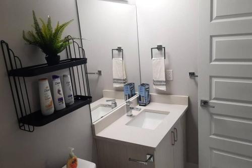 a bathroom with a sink and a mirror and a toilet at Carsonway Basement Suite in Edmonton