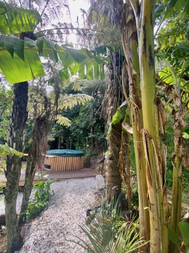 Taman di luar Fantail Hill