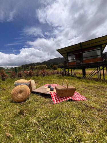 a picnic blanket on the grass in a field at Glamping Moxigua in Cogua