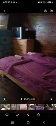 a bed with a purple comforter in a room at RUMAH KAYU ED BEACH Cafe in Kuala Kedah