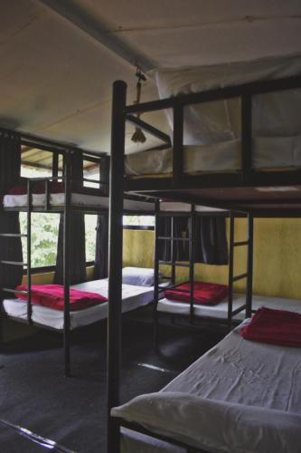 a group of four bunk beds in a room at Hostel Hideout in Bhīm Tāl