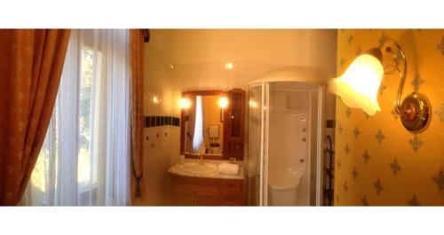 a bathroom with a shower and a sink and a mirror at Hotel Villa Herzog in Dresden