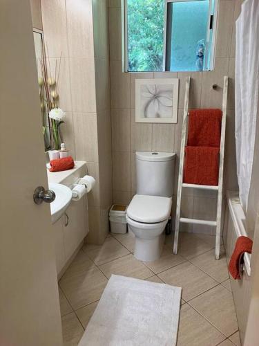 a bathroom with a toilet and a sink and a window at Casa Palma in Palm Cove