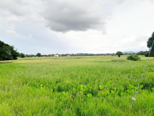 Dmana Homestay Arau Perlis Tiny House