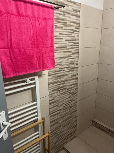 a bathroom with a shower with a red towel at Apartament George&Ionela in Zalău