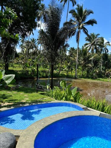 Kolam renang di atau dekat dengan D'Pondok Sangaji Ricefield View by EPS