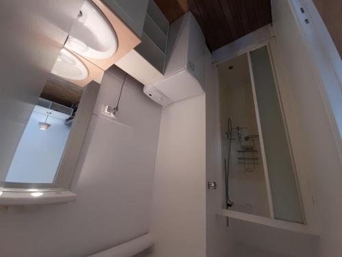 a bathroom with a shower and a toilet and a window at T2 lumineux centre-ville avec Wi-Fi, lave-linge et lave-vaisselle - FR-1-541-122 in La Roche-Posay