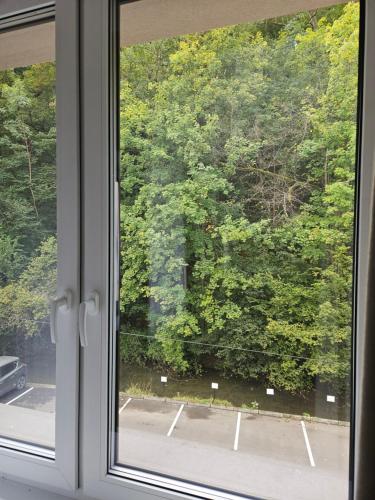 Фотография из галереи COZY CENTRAL Apartment в городе Дольни-Кубин