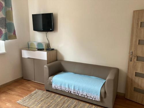TV a/nebo společenská místnost v ubytování Apartmanový byt v priemyselnej zóne
