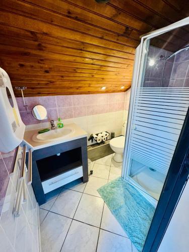 une salle de bain avec toilettes, lavabo et douche dans l'établissement Maison avec piscine 14 personnes, à Doussard