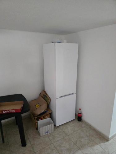 a white refrigerator in the corner of a room at Ubytování Stračenská in Štětí