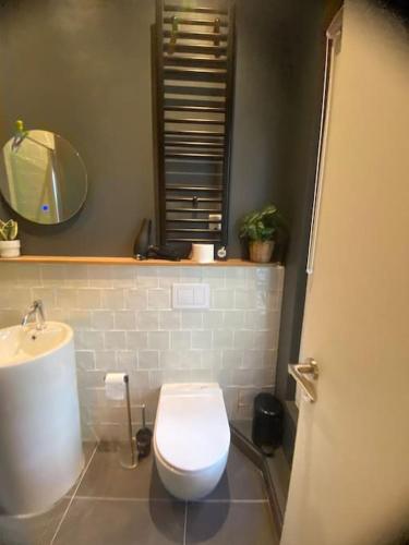 une salle de bain avec toilettes, lavabo et miroir dans l'établissement Saint Jacques Zoo, à Paris