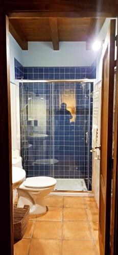 a blue tiled bathroom with a toilet and a shower at Casas Rurales Entrecastaños in Cangas de Onís