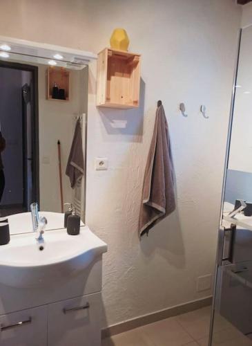 une salle de bain avec un lavabo et une douche dans l'établissement Gite de l'Auzon Vallon Pont d'Arc 3ch, à Vallon-Pont-dʼArc