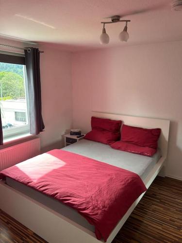 a bedroom with a bed with red pillows and a window at Ferienwohnung in Alpirsbach in Alpirsbach